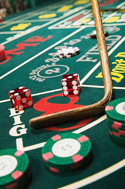 Player dashboard showing recent bets, wins, and account balance